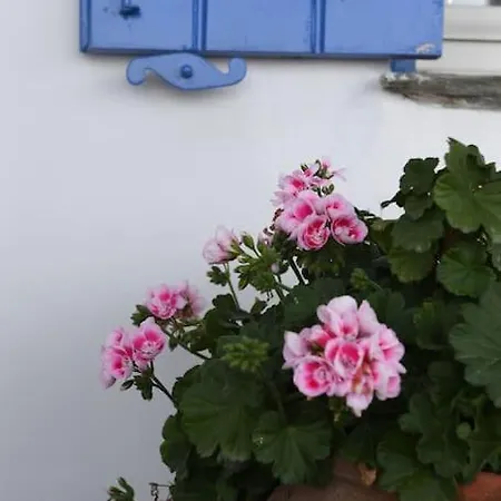 Evilion Traditional House Triandáros