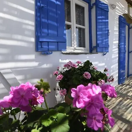 Evilion Traditional House *