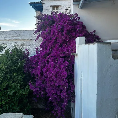 וילה Evilion Traditional House