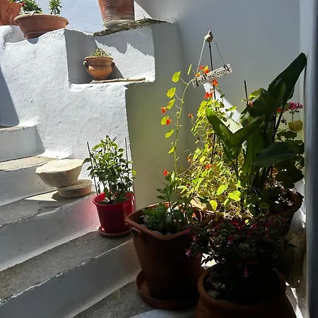 Evilion Traditional House וילה Triandáros